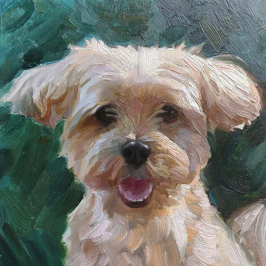 Custom oil pet portarit painting